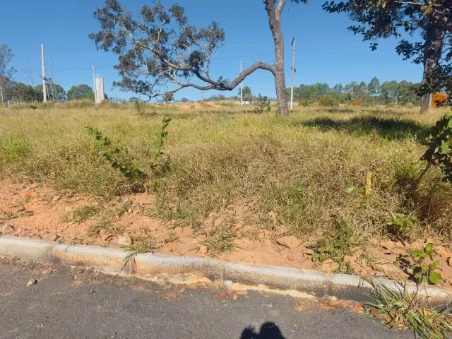 Lote - Foto 3