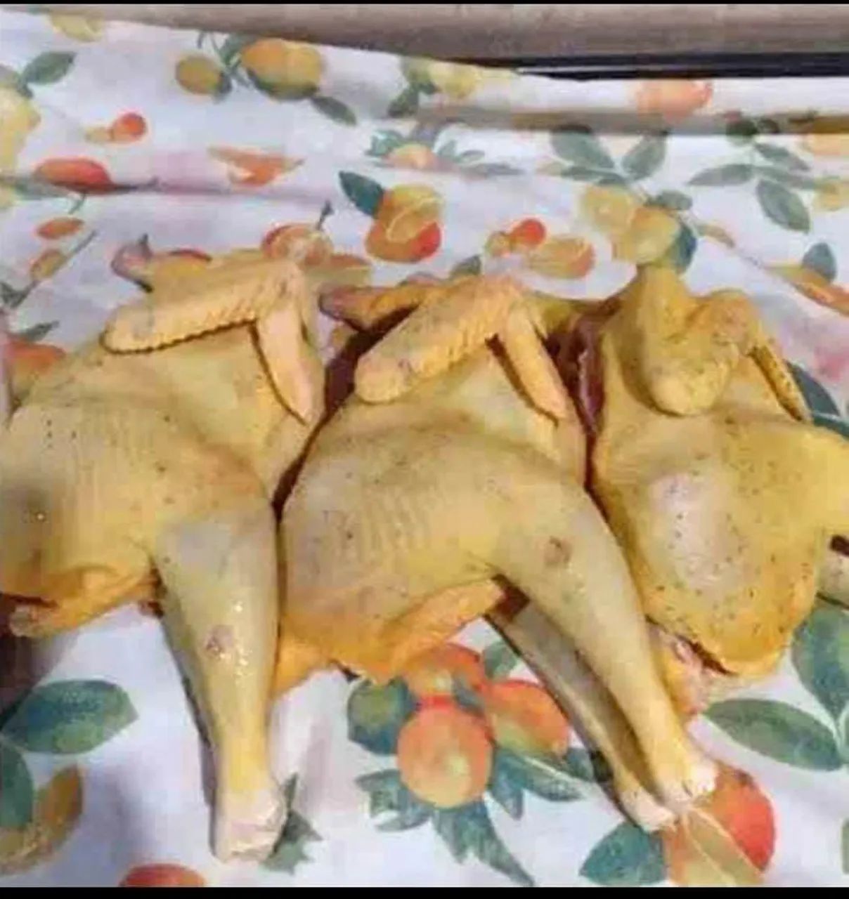 Galinhas caipiras frango caipiras vivos e abatidos  - Foto 4