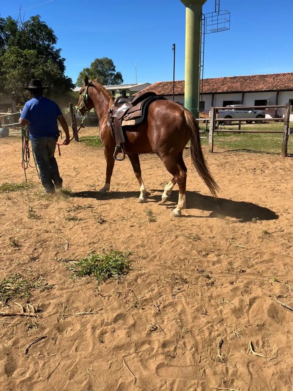 Agropecuária  - Foto 5