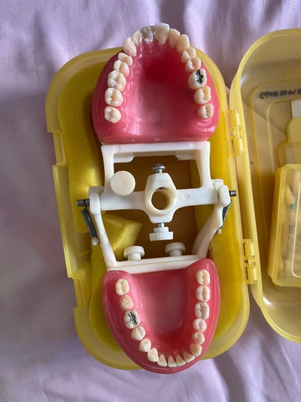 Manequim de dentística  - Foto 5