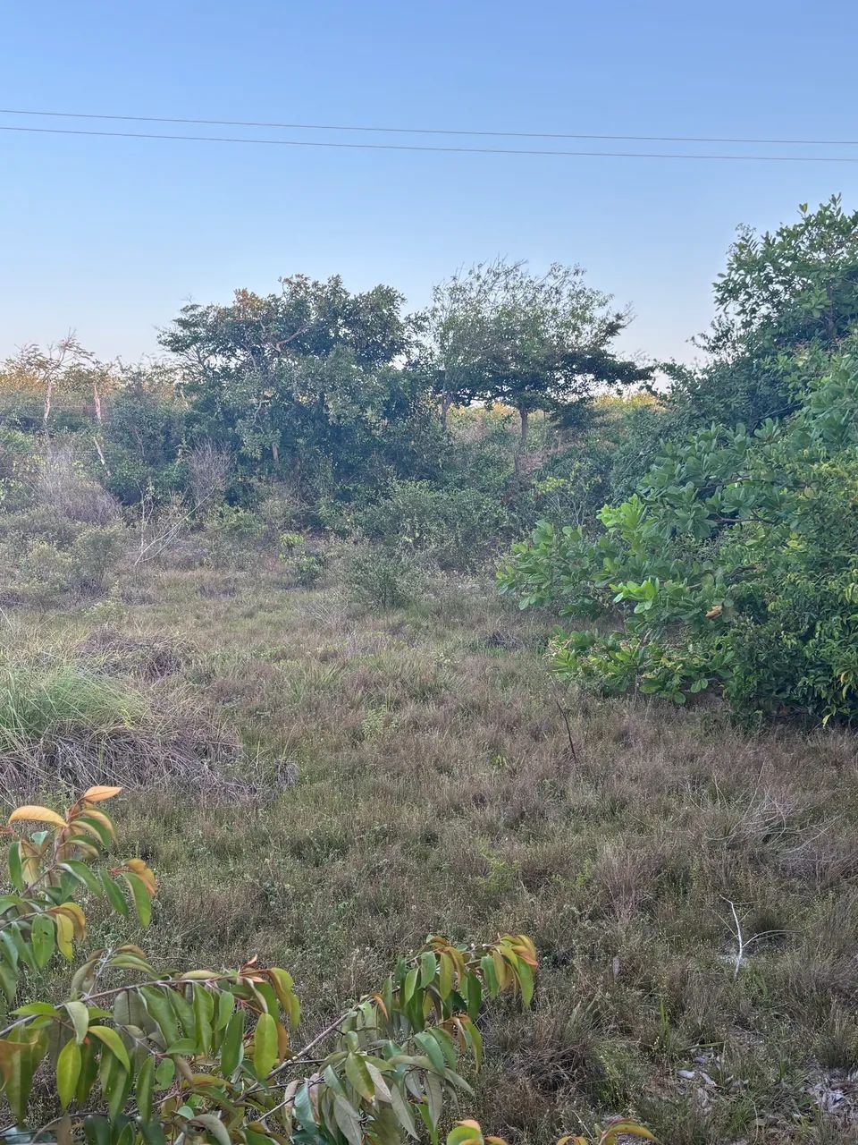 Terreno a venda - Foto 2