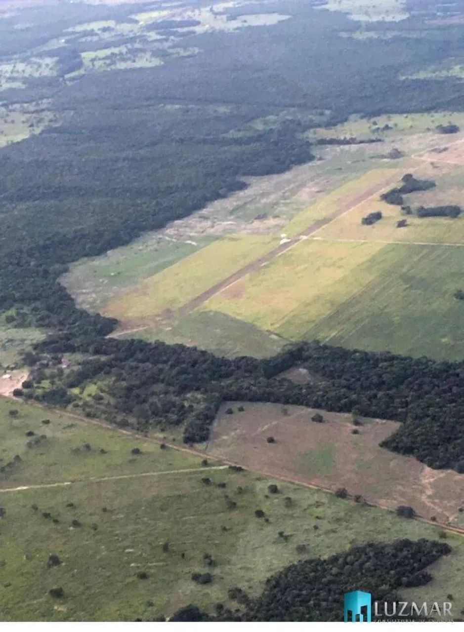 Fazenda de Soja em Tocantins região de Gurupi