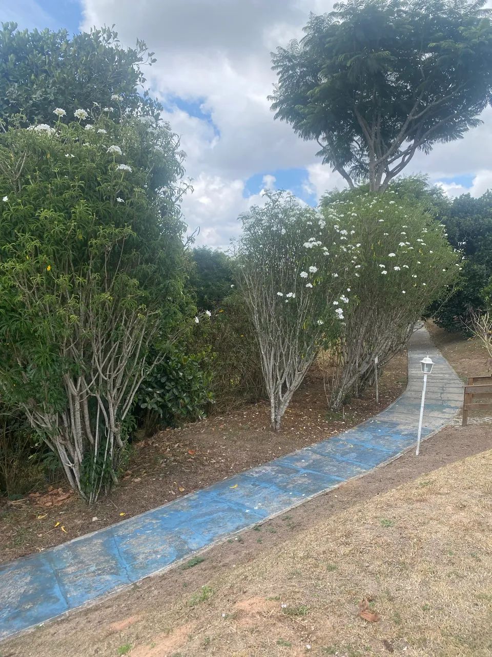 Terreno em Chã Grande - 800m2 - Foto 2
