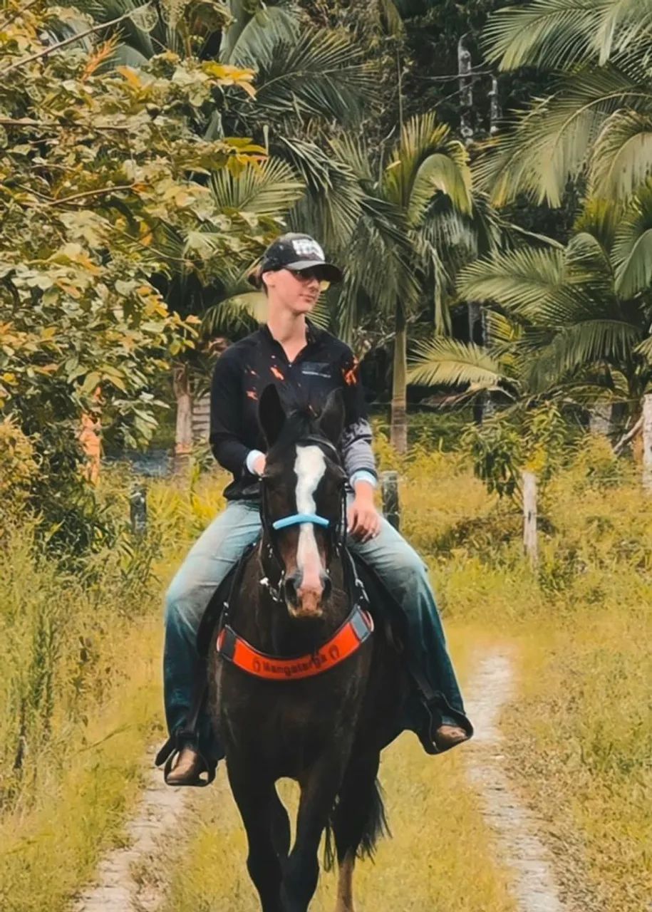 Egua bretão meio sangue domada  - Foto 5