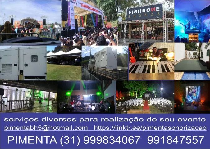 serviços diversos para a realização de seu evento. https://linktr.ee/pimentasonorizacao - Foto 2