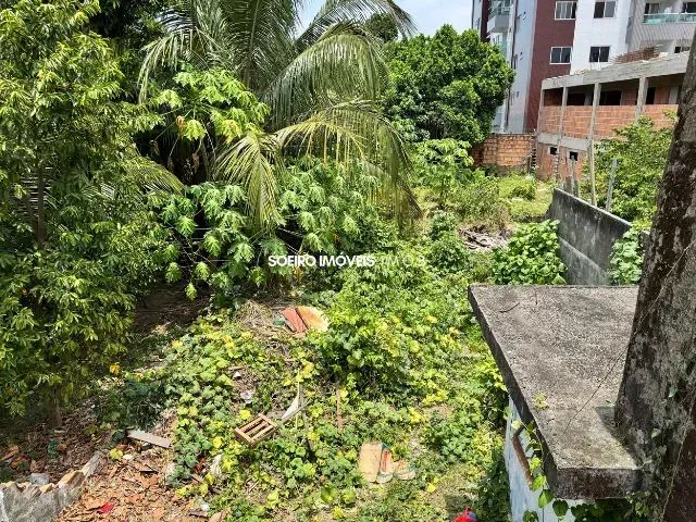 Terreno na Pedreira - Foto 2