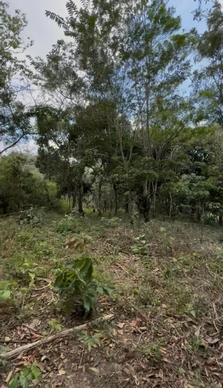 Terreno em Guaramiranga - Foto 5