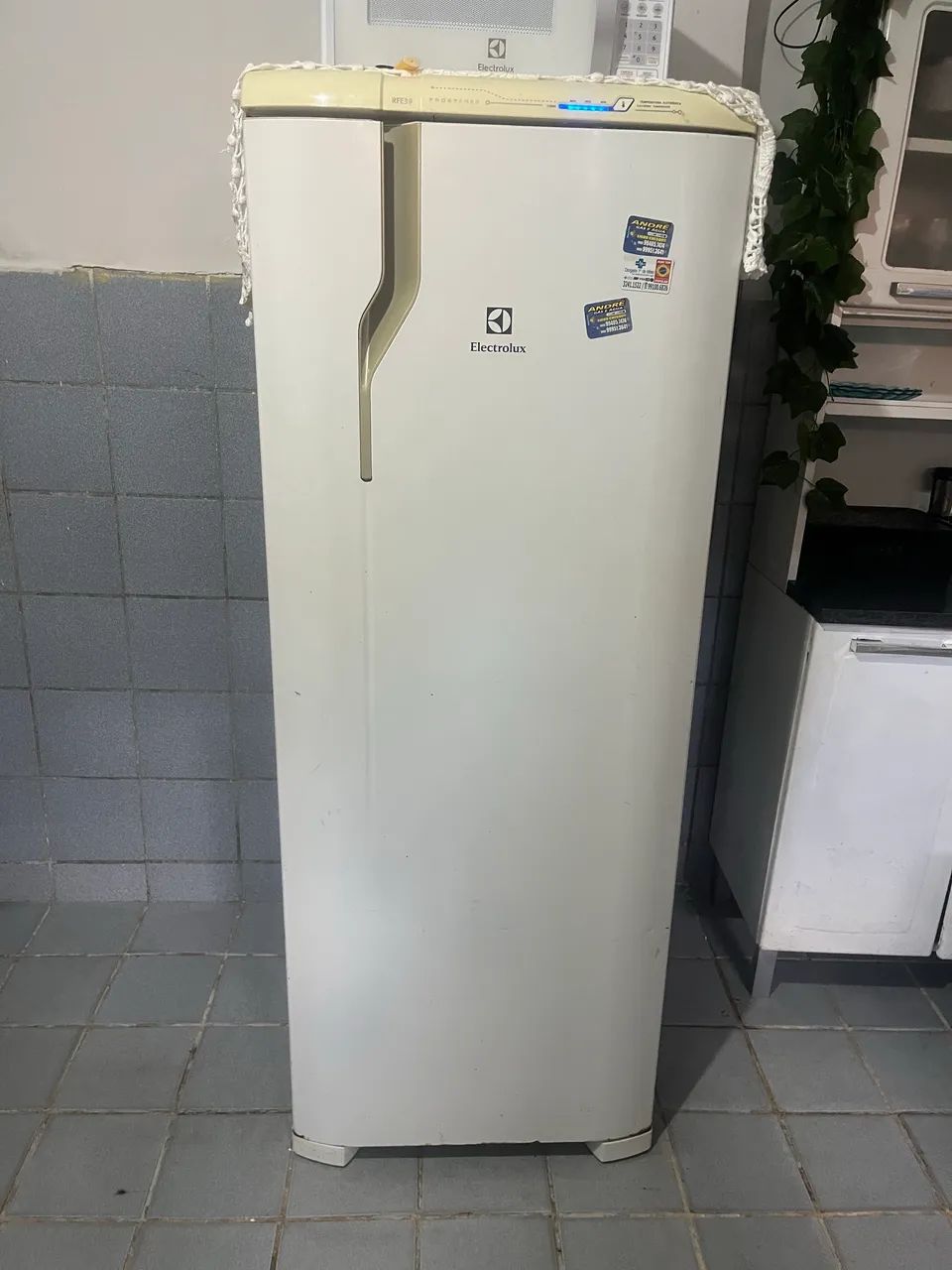 geladeira eletrolux gelo seco 
