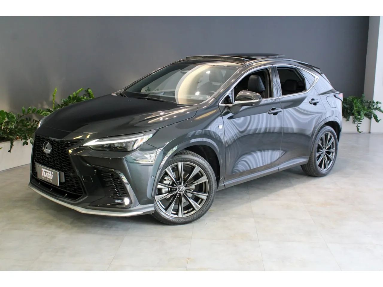 Lexus Nx-350H 2023