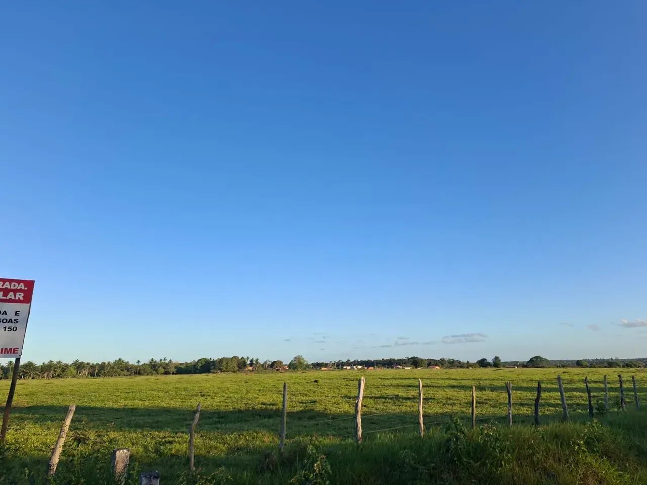 ÁREA DE TERRA, DISPONIVEL À 500M DA BR - 324 - Foto 4