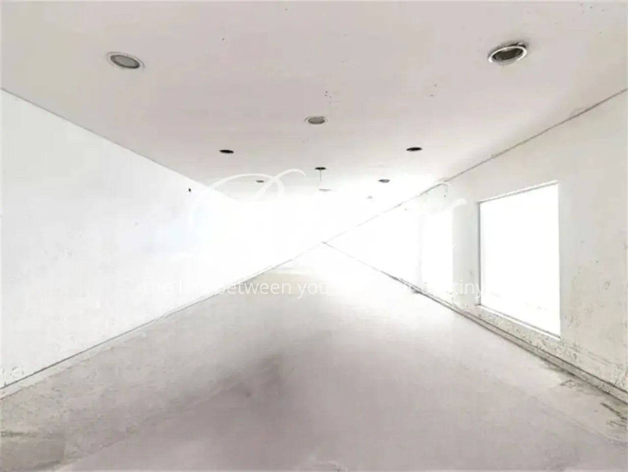 IMÓVEL COMERCIAL A VENDA E LOCAÇÃO EM MOEMA 454 M² - Foto 5