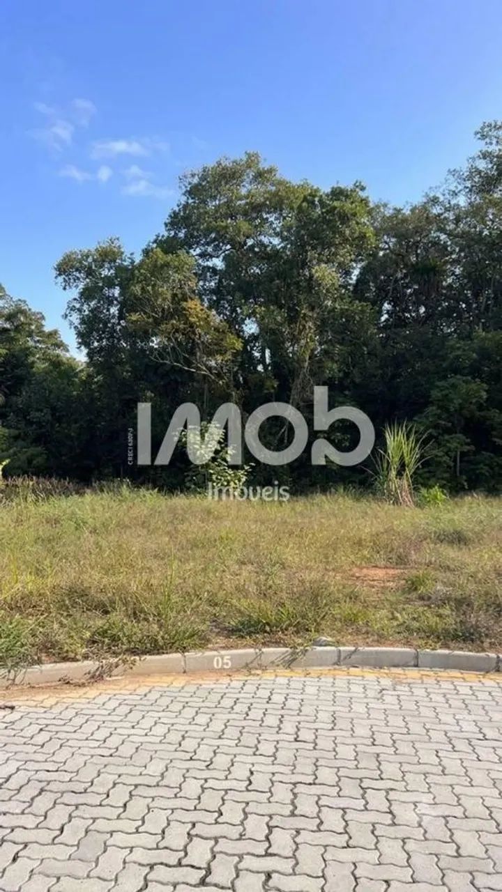 TERRENO, CENTRO NORTE EM SCHROEDER - Foto 4