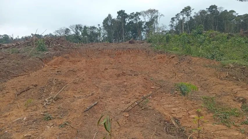 Terreno 5 x30  - Foto 3