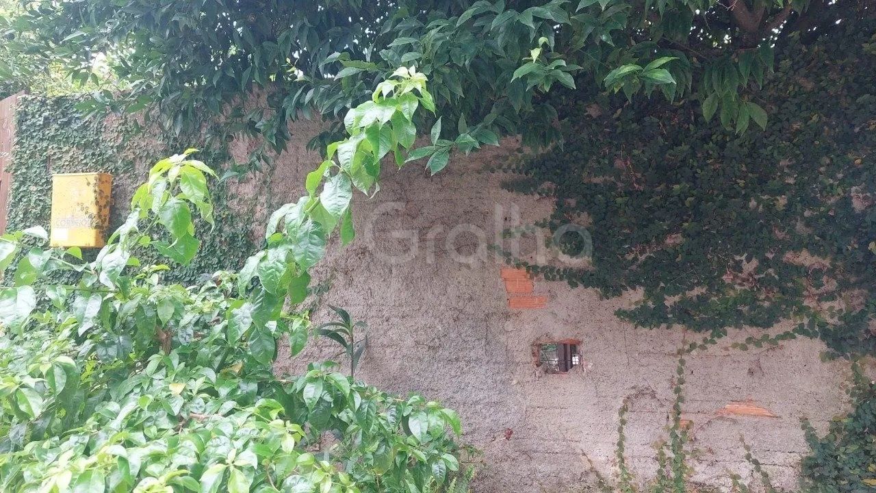 Terreno para Venda em Florianópolis, Morro das Pedras - Foto 3