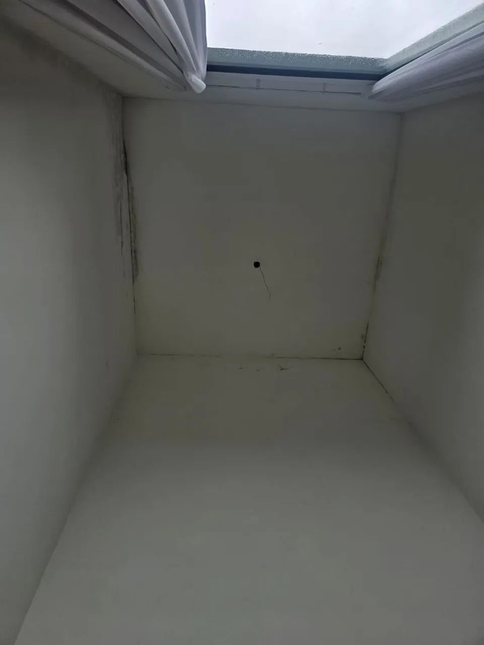 Remoção de mofo com ozônio ZAP *