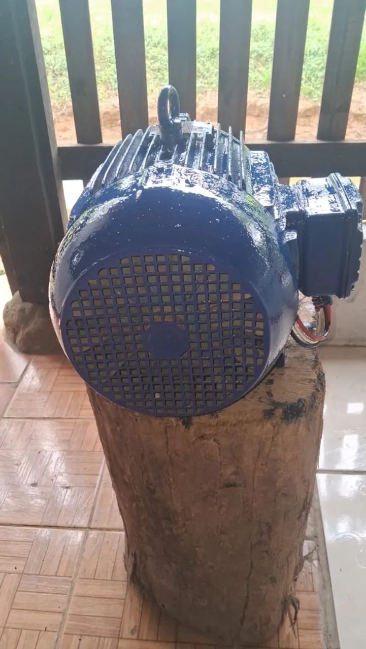Motor elétrico trifásico  - Foto 2