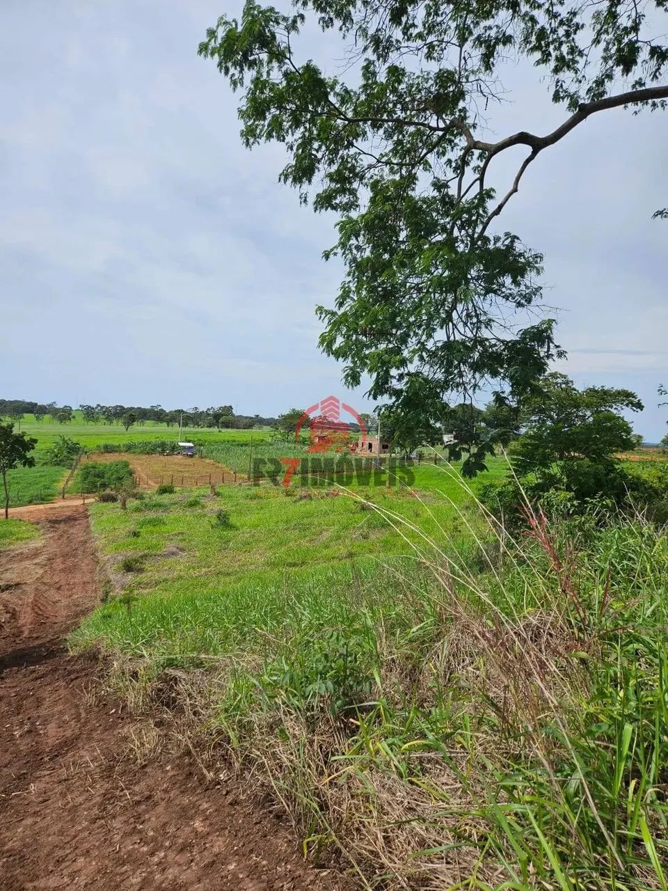 CHÁCARA EM SANTO ANTÔNIO DE GOIÁS  GO - Foto 3