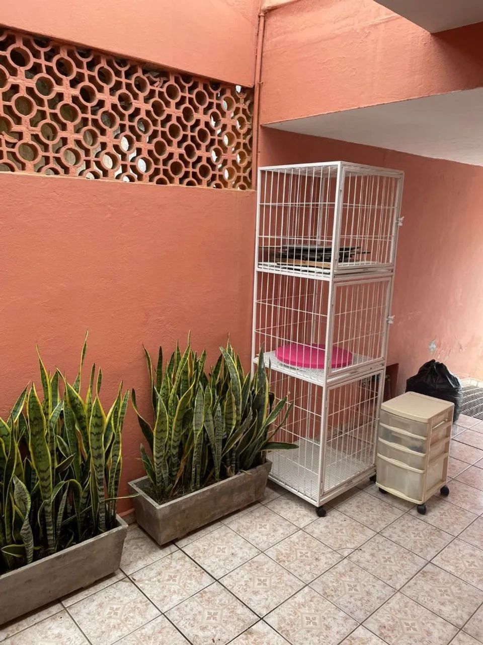 Itens veterinária  - Foto 2