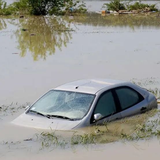 Rio Limpeza e Higienização de Sofá e Carro - Foto 5