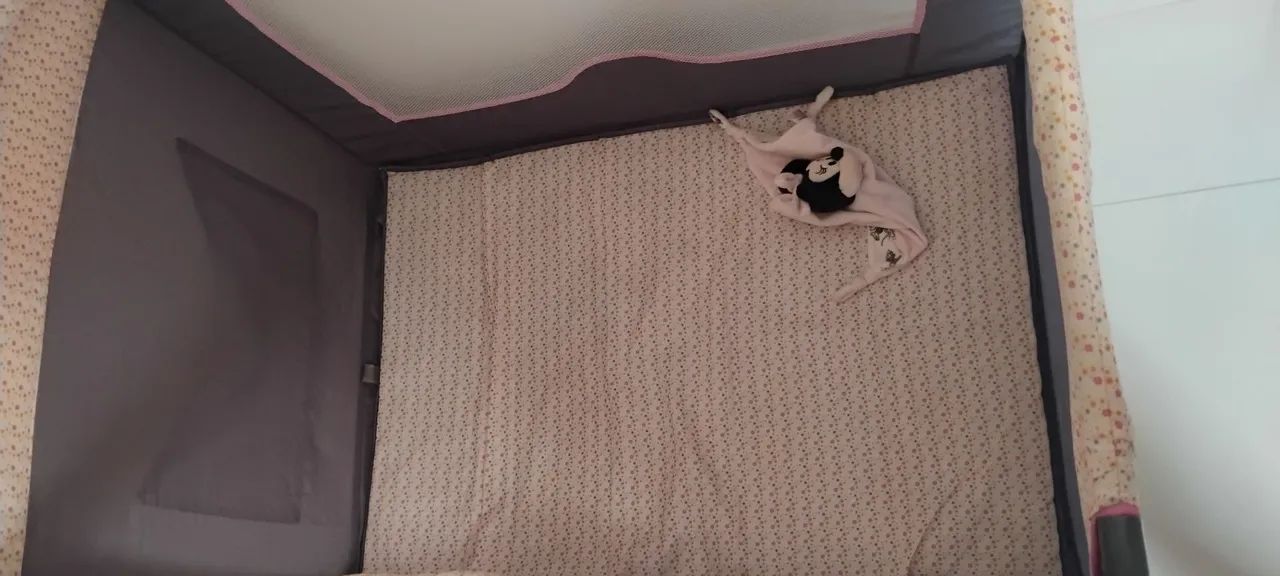 Chiqueirinho Rosa  - Foto 2