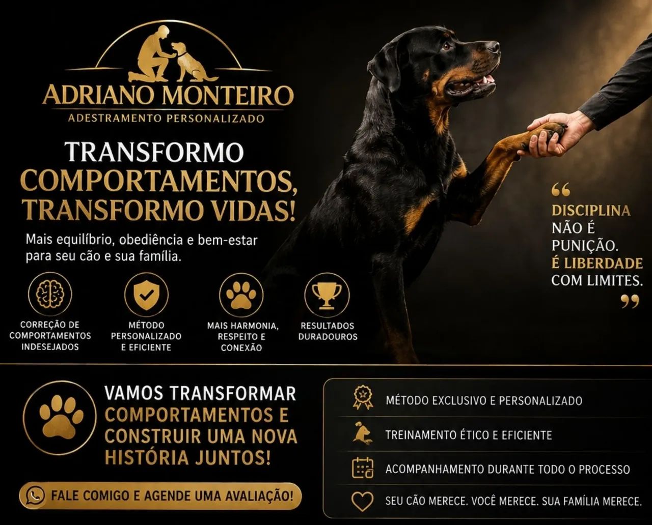 Adestrador/adestramento personalizado  - Foto 2
