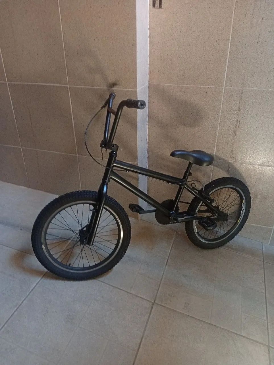 Bike Bmx (Aro 20 ) 