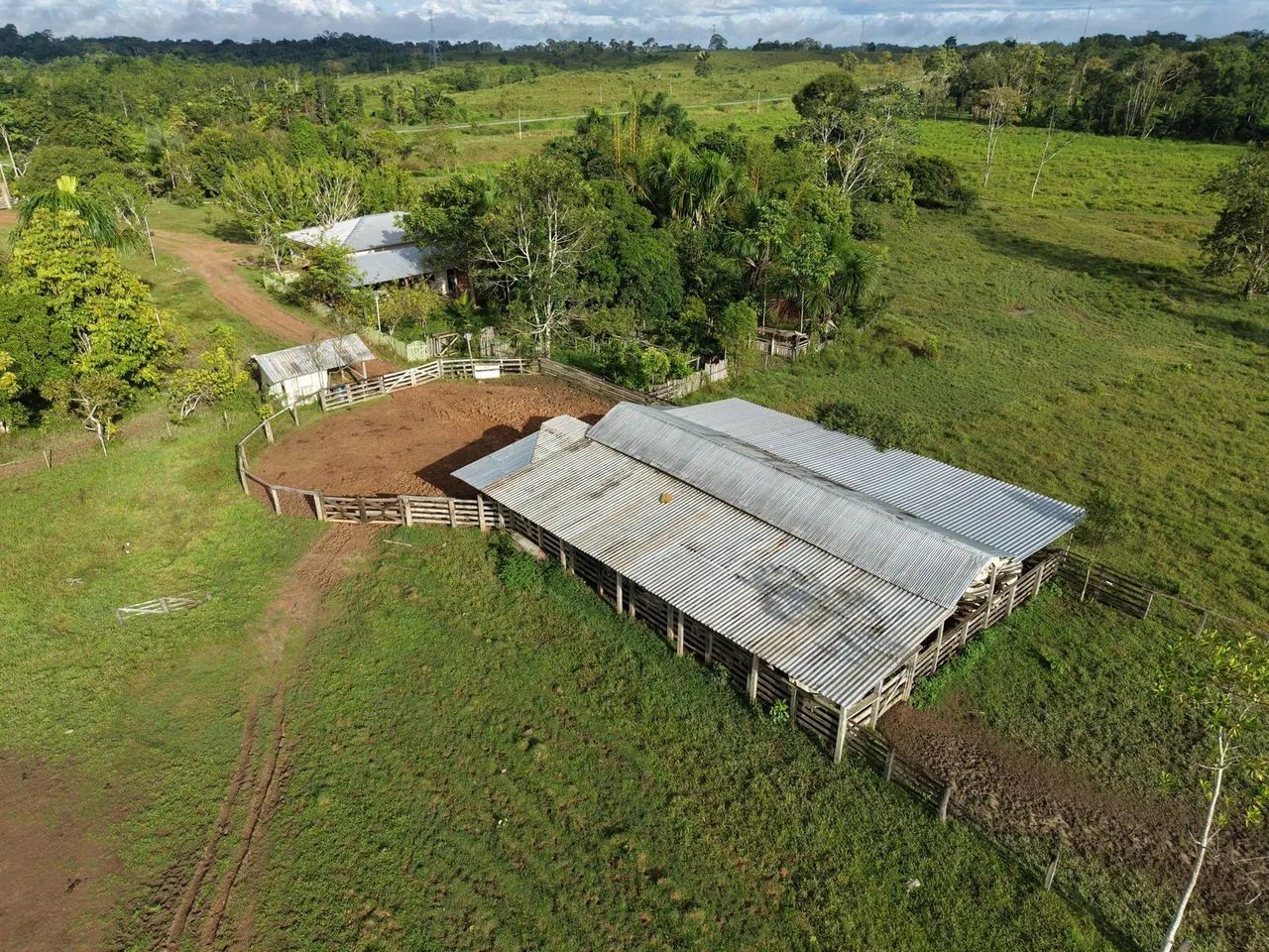 Fazenda à venda, em Feijó Acre. - Foto 2
