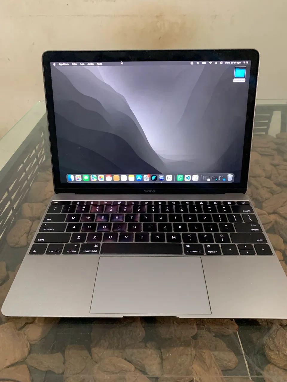 MacBook Retina 12? Early 2015 - 8GB RAM - 256GB SSD - Completo