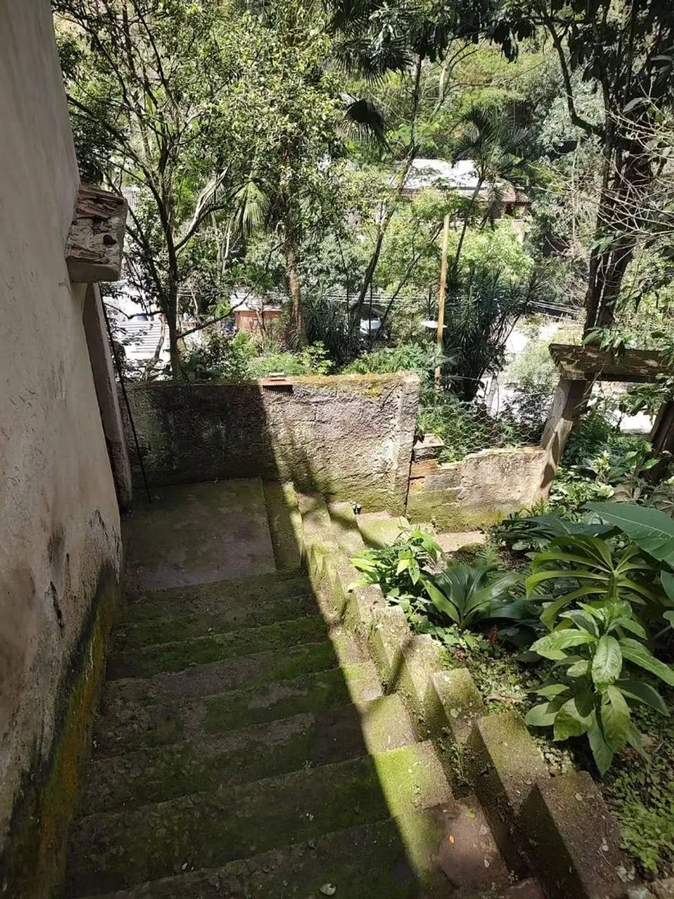 Foto - Rio de Janeiro - Taquara