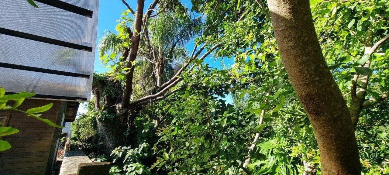 Terreno para Venda em Florianópolis, Morro das Pedras - Foto 5