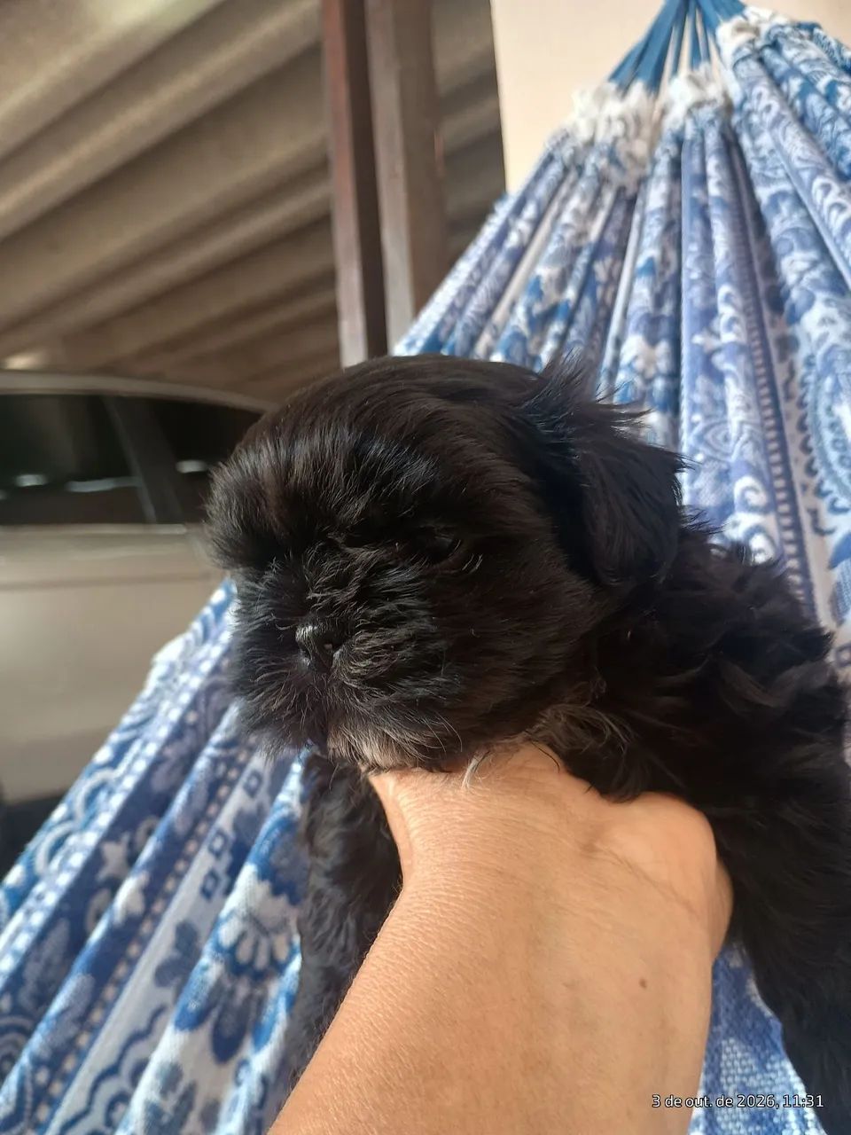 2 lindo machinho 
