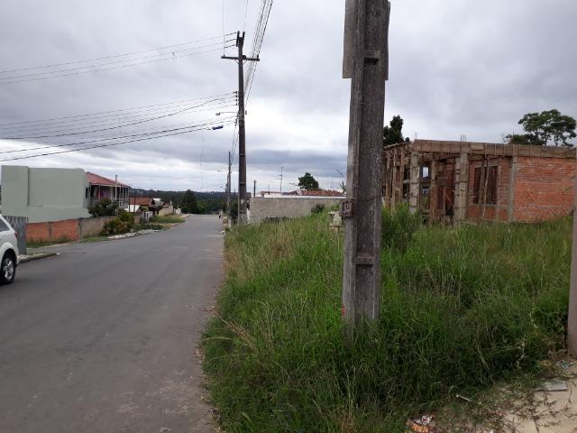 Terreno Colombo- Bairro Sta. Tereza- a vista R$125.000,00- - Foto 6