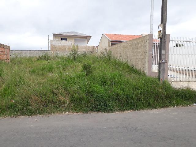 Terreno Colombo- Bairro Sta. Tereza- a vista R$125.000,00- - Foto 9