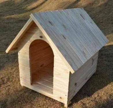 Casinha de cachorro
