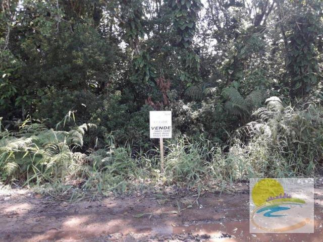 Terreno na praia
