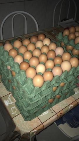 30 Ovos de galinha caipira ovo - Foto 4