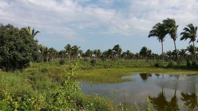 Fazenda na BR 135