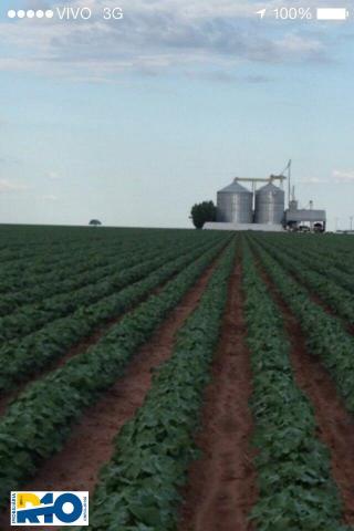 Fazenda Venda no Oeste Baiano Barreiras BA e outras Regiões Soja