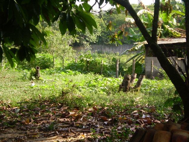 Área 32 Hectares na BR 316 Km 21 ao lado da Policia Rodoviária e Verbras - Foto 4