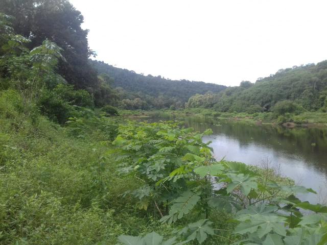 Fazenda Marau/Ubaitaba - Foto 9