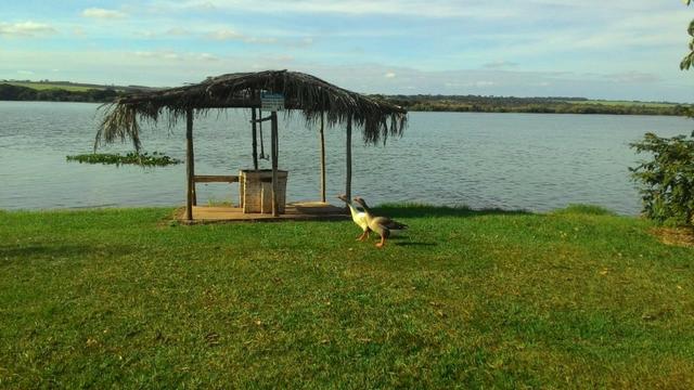 Chácara Beira do Paranapanema - 720m2 - Condomínio de chácaras Recanto Towako - Foto 6