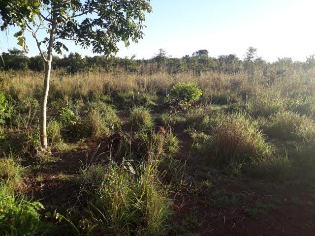 Chácara de 38,2 hectares, ha 66 km de Cuiabá, em Acorizal ! - Foto 9
