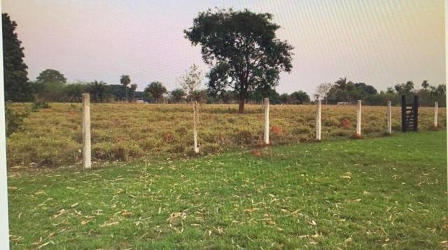 Chácara à venda, 20000 m² - comunidade praia grande, - várzea grande/mt - Foto 14