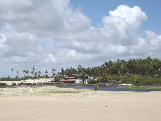 Vendo Área na beira mar da Praia de Pititinga - Foto 13