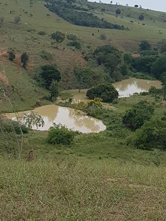 Vendo fazenda de Pecuária com 1.720 hectáres - Foto 15