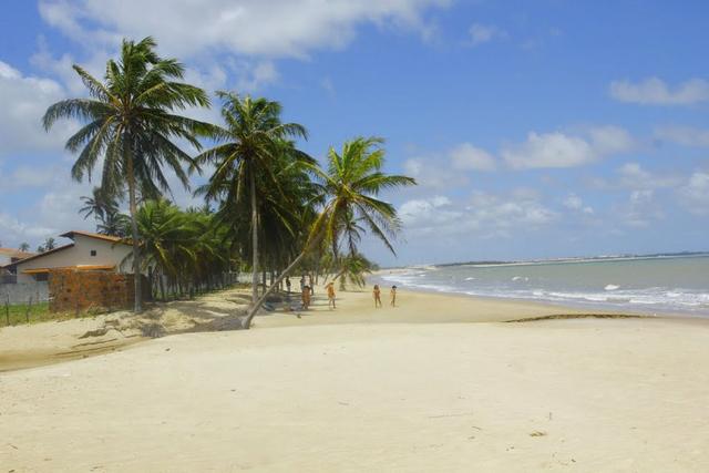 Vendo Área na beira mar da Praia de Pititinga - Foto 12