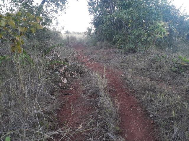 Chácara de 38,2 hectares, ha 66 km de Cuiabá, em Acorizal ! - Foto 6