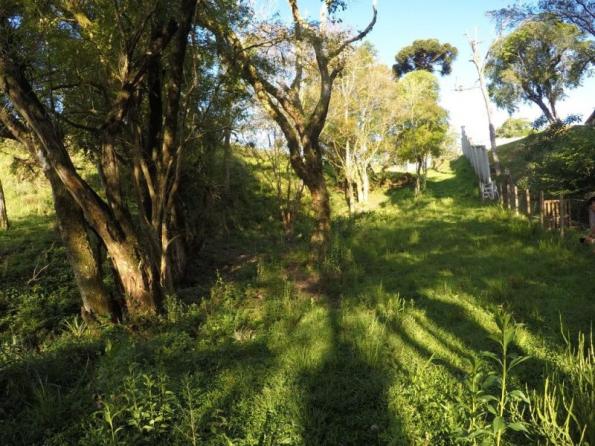 Chácara nà venda - barro preto - são josé dos pinhais/pr - Foto 16