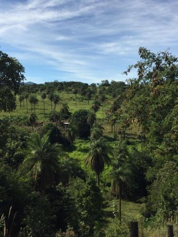 Sitio de 1.500m² Serra do Cipó (Temos varias opções) - Foto 4