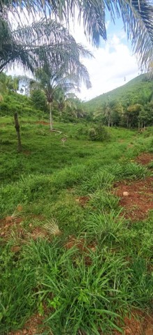 Fazenda em Aparecida do Rio Negro. 67 mil o alqueire.
